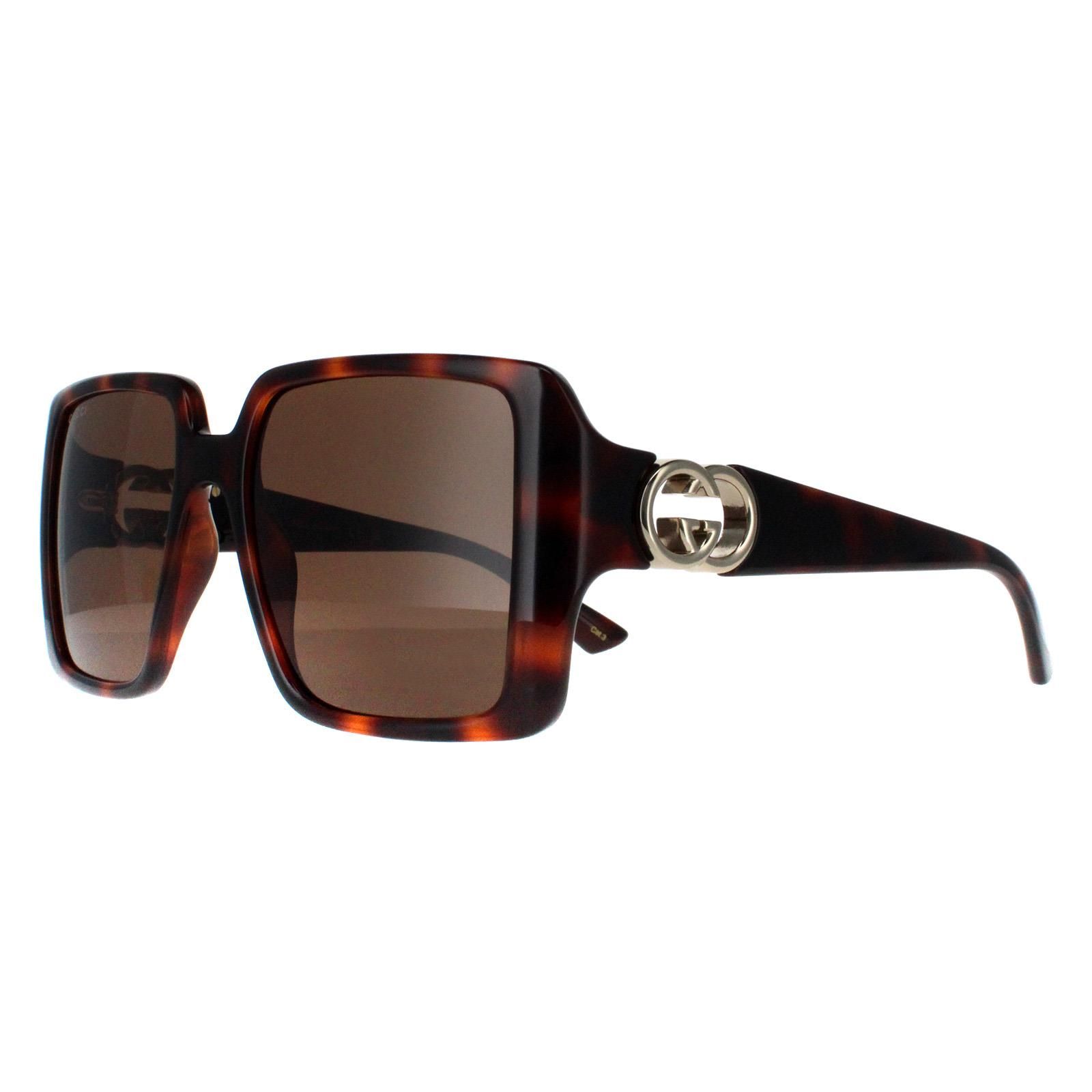 Gucci Square Dark Havana with Gold Dark Brown GG1692S
