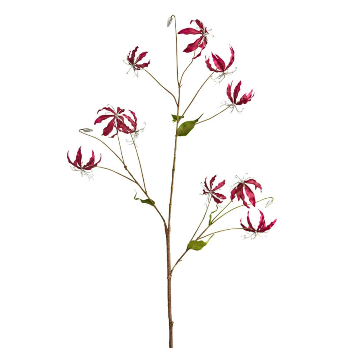 AMY - Gloriosa artificielle blanche et dorée H125