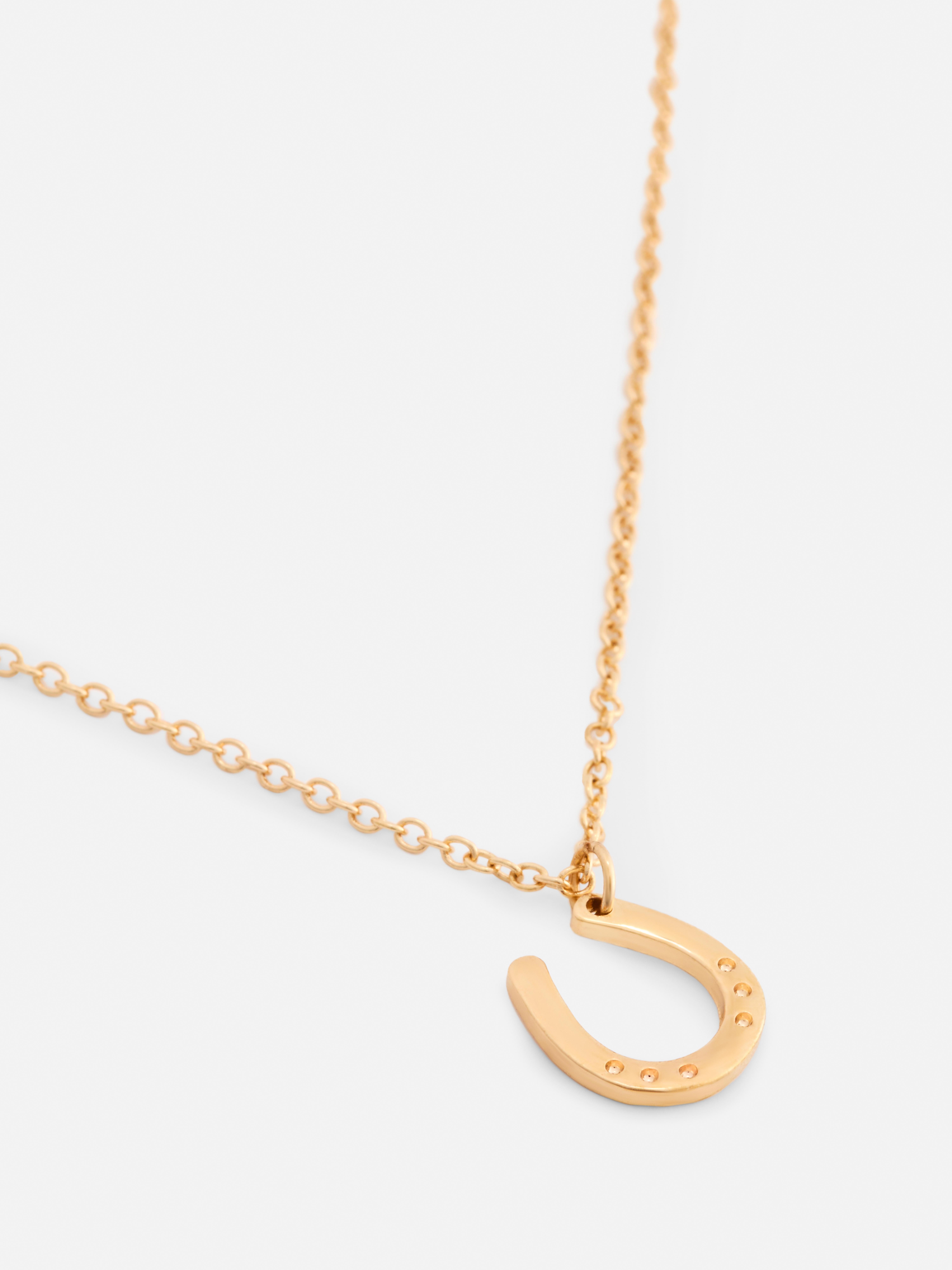 Horseshoe Necklace