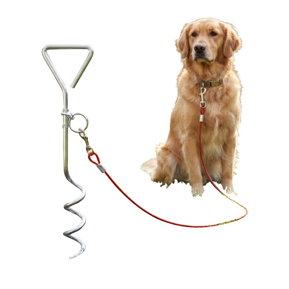Piquet attache chien métal 4m