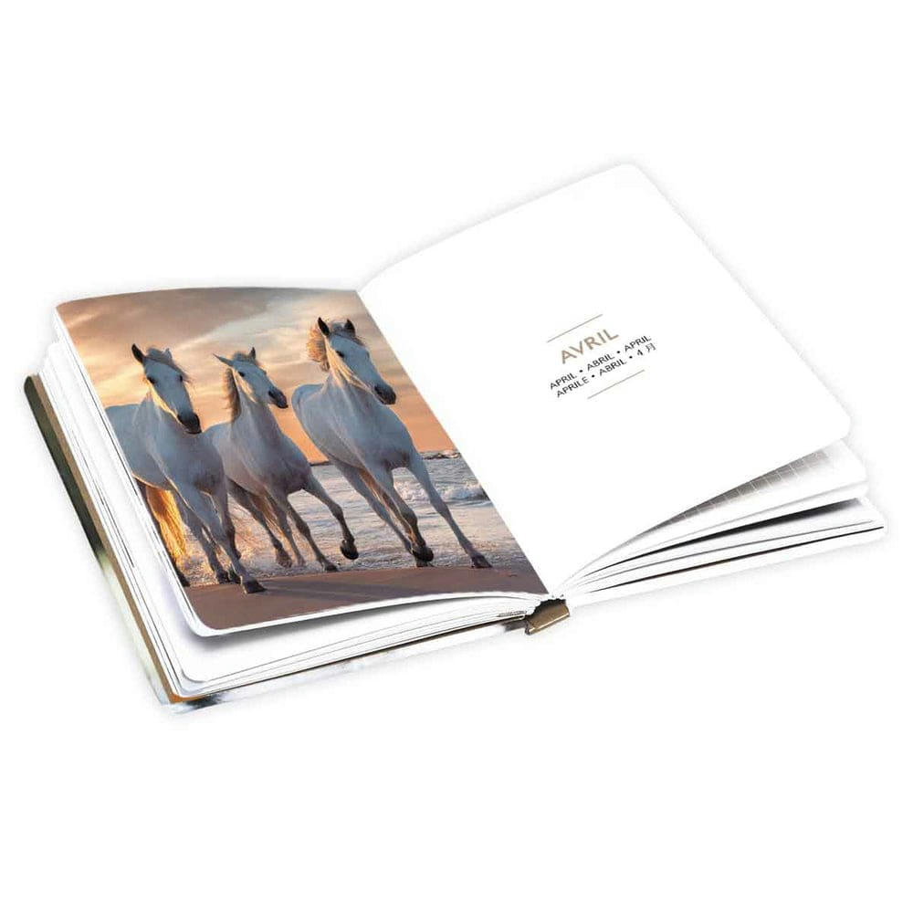 - Agenda de poche 2024 - Chevaux