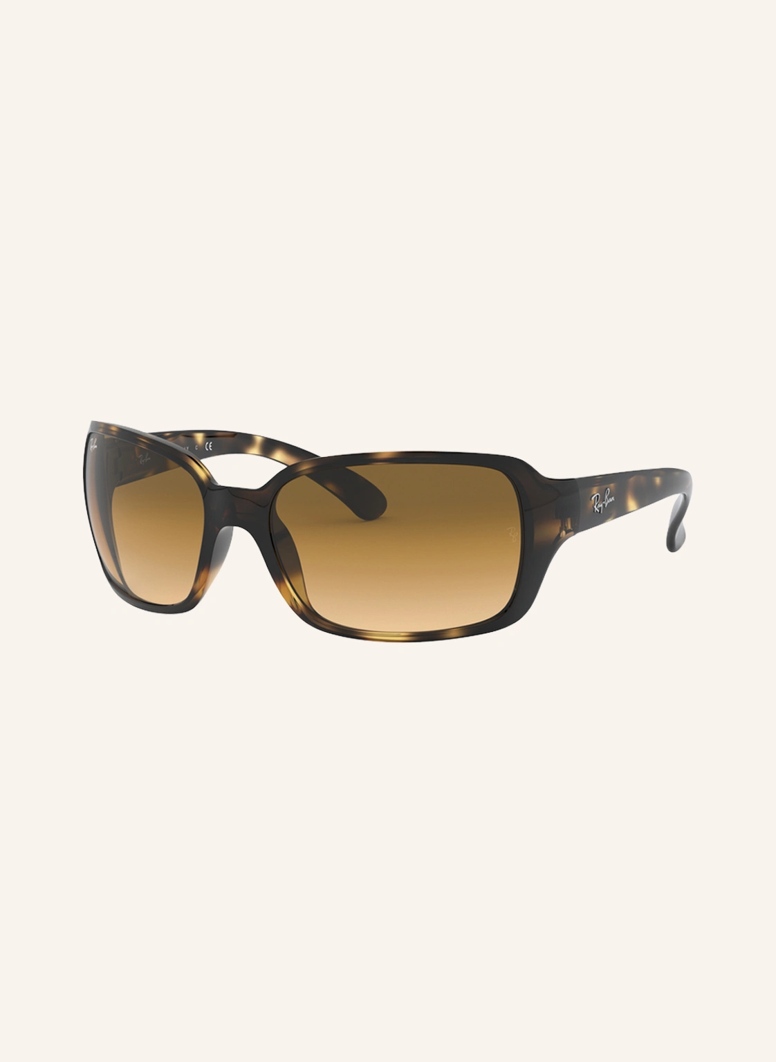 Ray-Ban Sonnenbrille RB4068