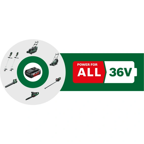 Akku-Set, 36 V, Lithium-Ionen