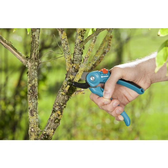 Gartenschere, türkis