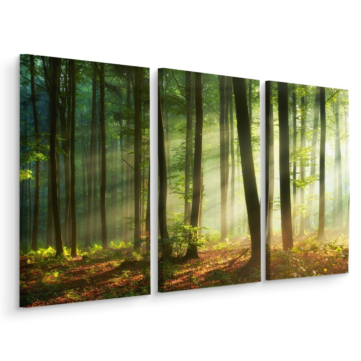 Obraz Tryptyk PROMIENIE SŁOŃCA w Lesie 3D 60x40cm