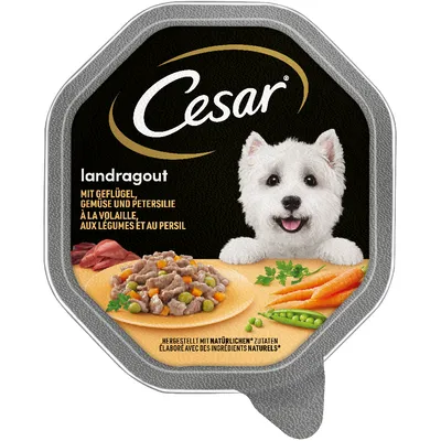 Cesar Country Kitchen in Gravy Trays