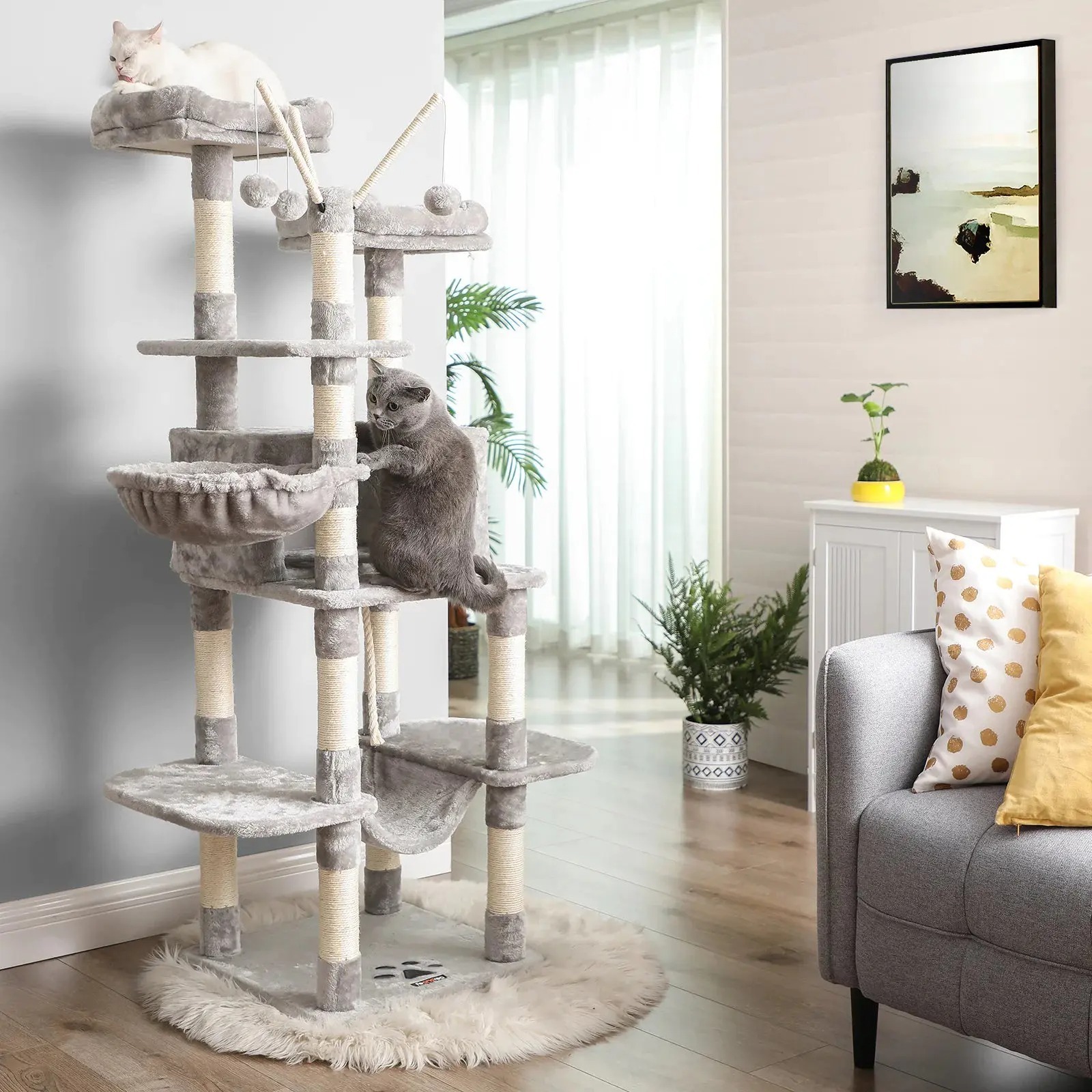 The Best Gift For Your Cats