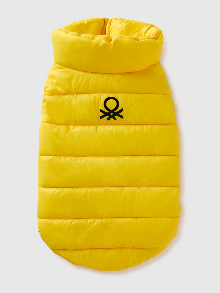 Yellow padded jacket for dogs