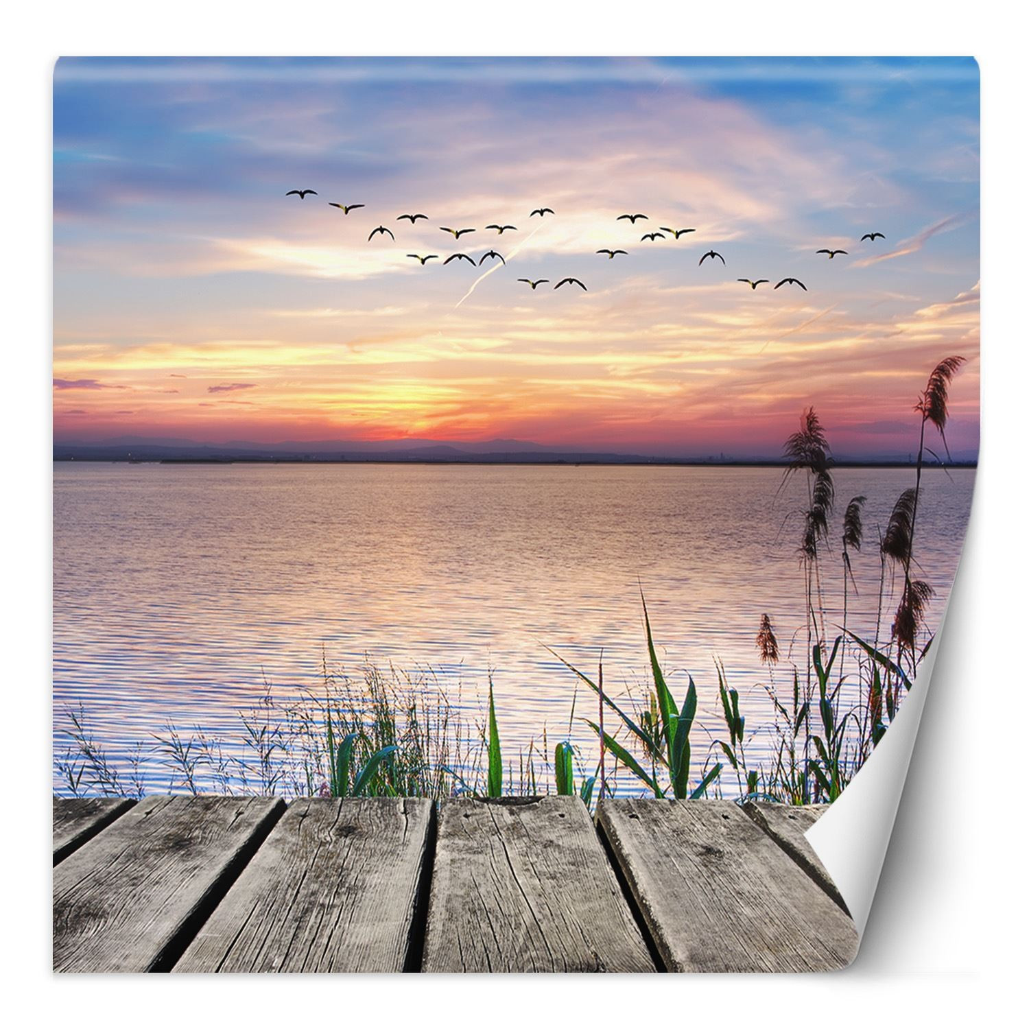 Feeby Fototapeta, Pomost o zachodzie słońca 100x100
