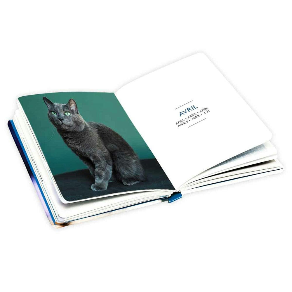 - Agenda de poche 2024 - Chats