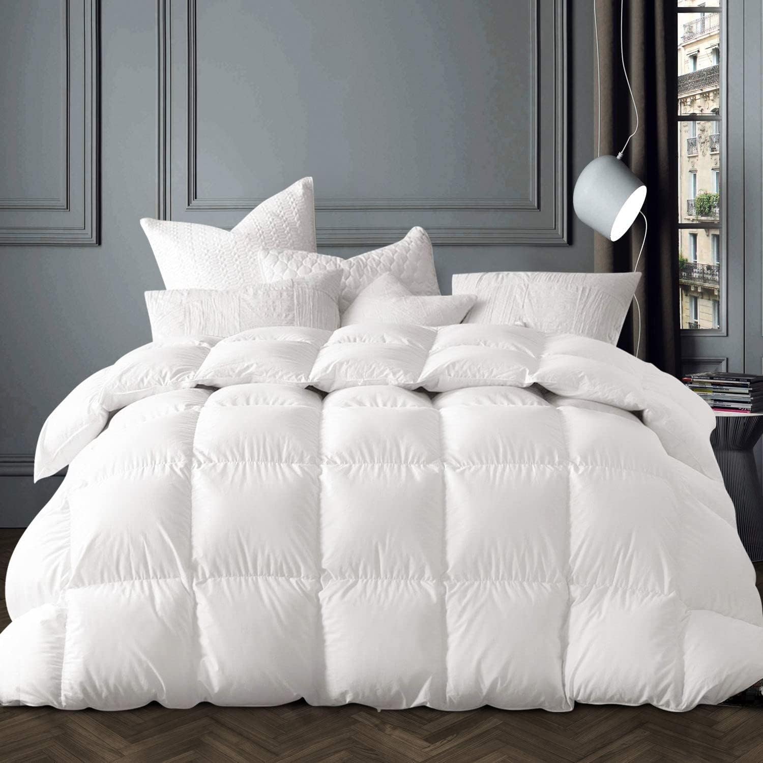 Globon Winter White Goose Down Comforter Queen Size,Down Duvet Insert,800 Fill Power,420 Thread Count Ultra Soft Noiseless Shell with Corner Tabs,White