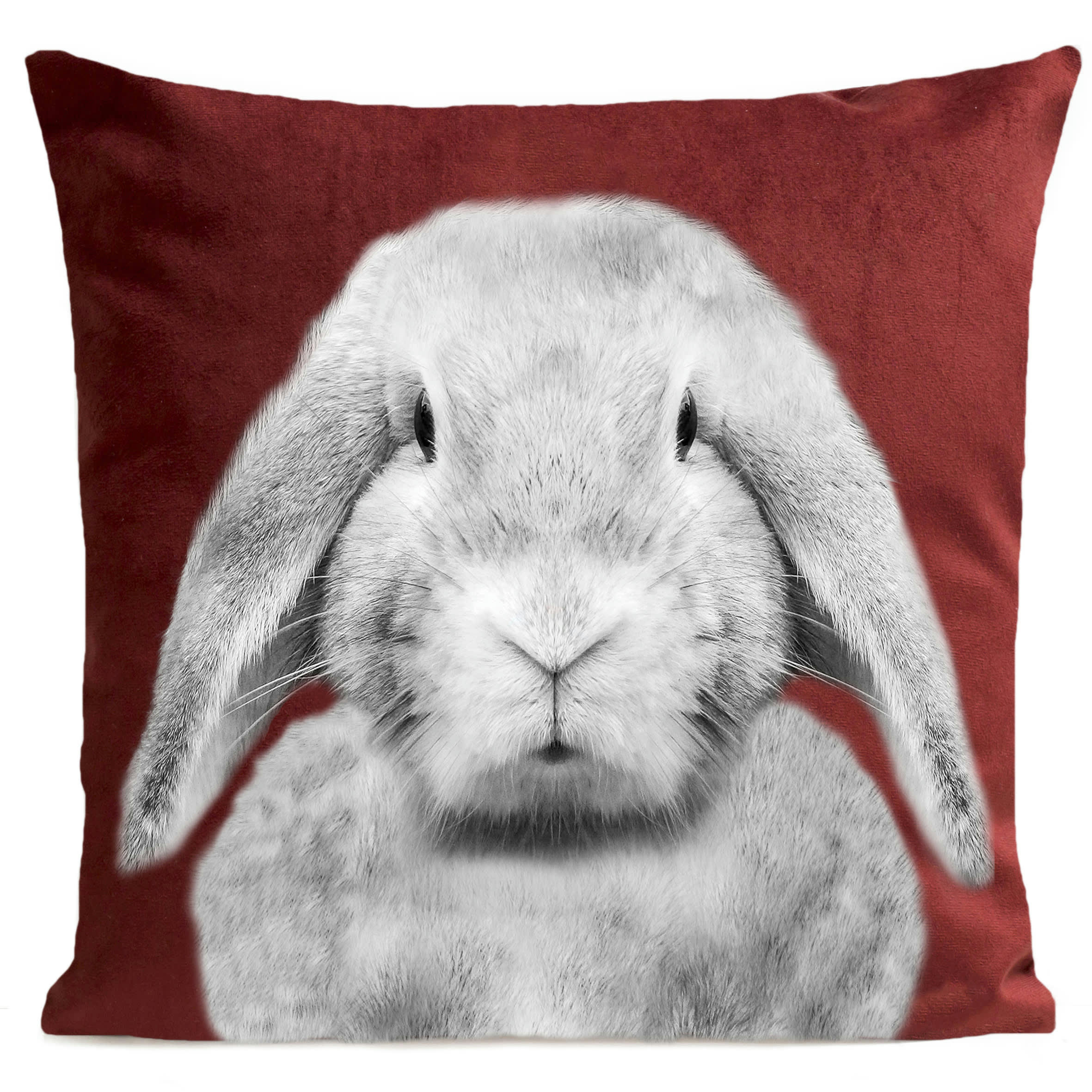 - Coussin enfant lapin suédine rouge 40x40cm