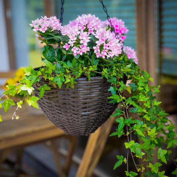 Komplet doniczek zawieszanych 3 szt. wenge PATIO | Dajar