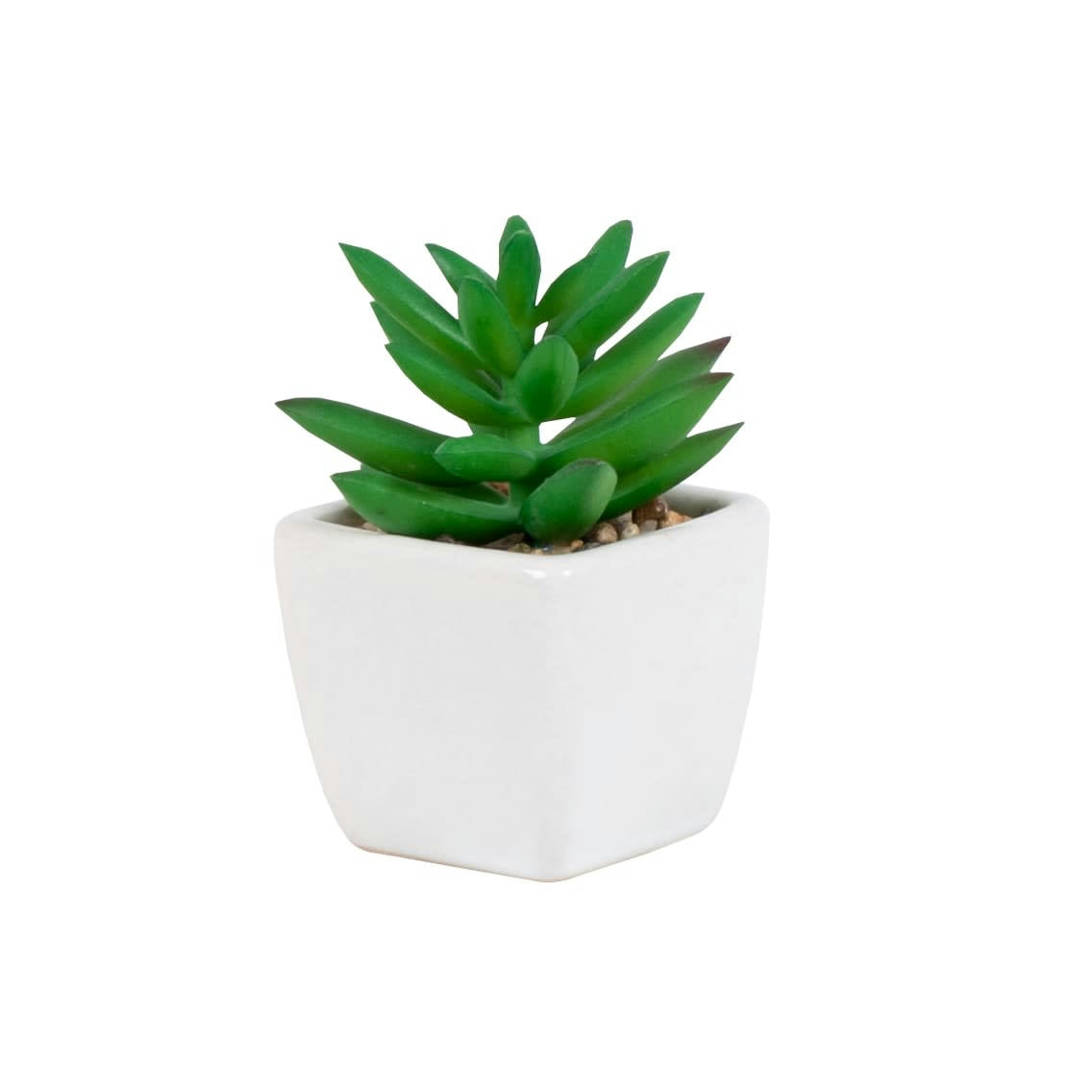 NINCA - Succulente artificielle verte et pot en grès blanc