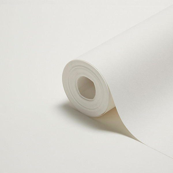 Fibre de verre lisse à peindre Diall 195g/m² L.15 m (Vendu au rouleau)