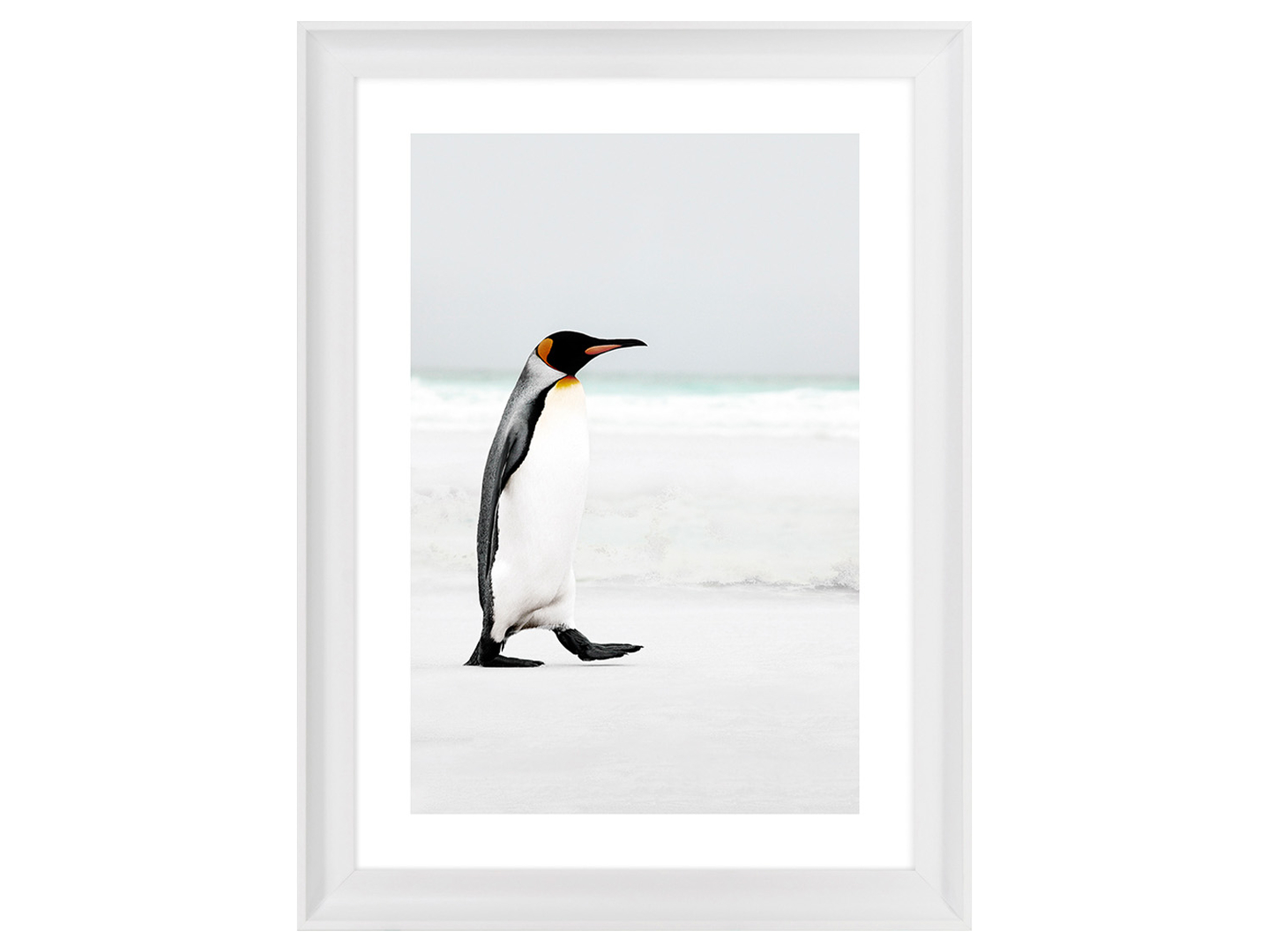 Obraz w ramie Penguin On The Beach 58x78 cm