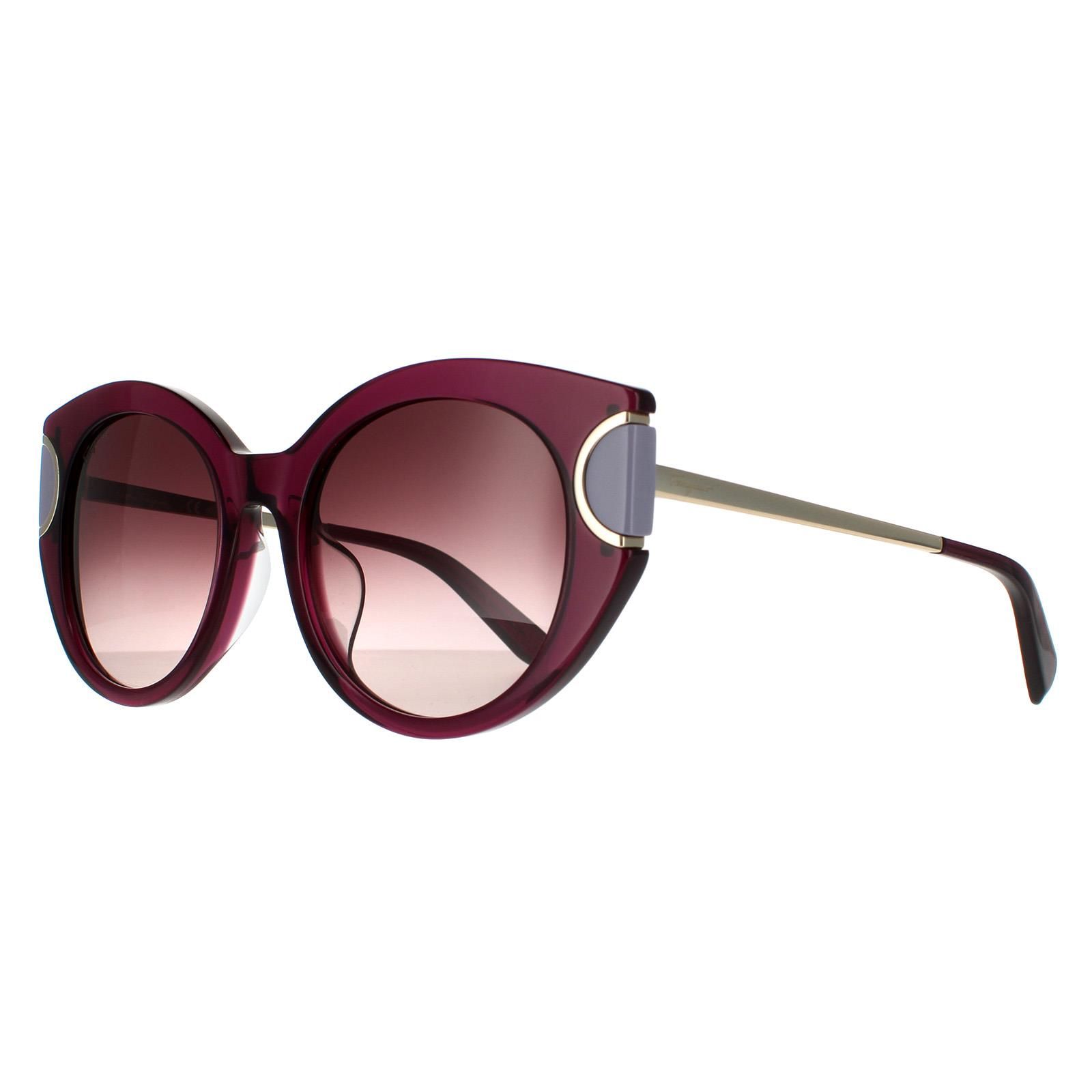 Salvatore Ferragamo Cat Eye Violet Brown Wine Gradient Sunglasses