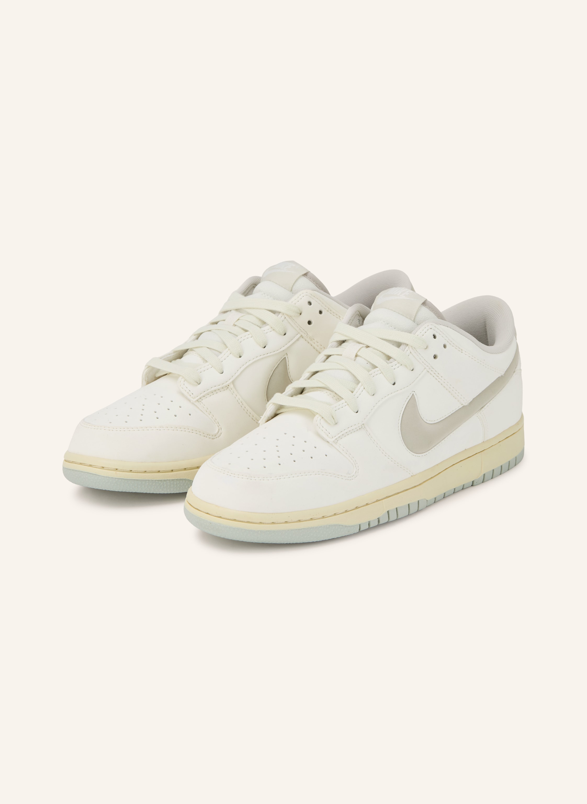 Nike Sneaker DUNK LOW RETRO PRM