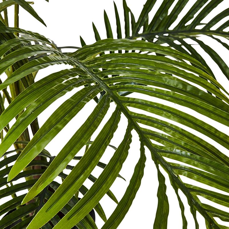 Evergreen Palm Tree Plant 177cm