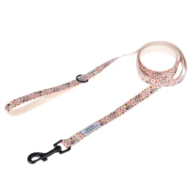Harry Potter Deathly Hallows Dog Lead