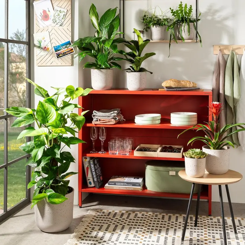 Blumentopf Basalto