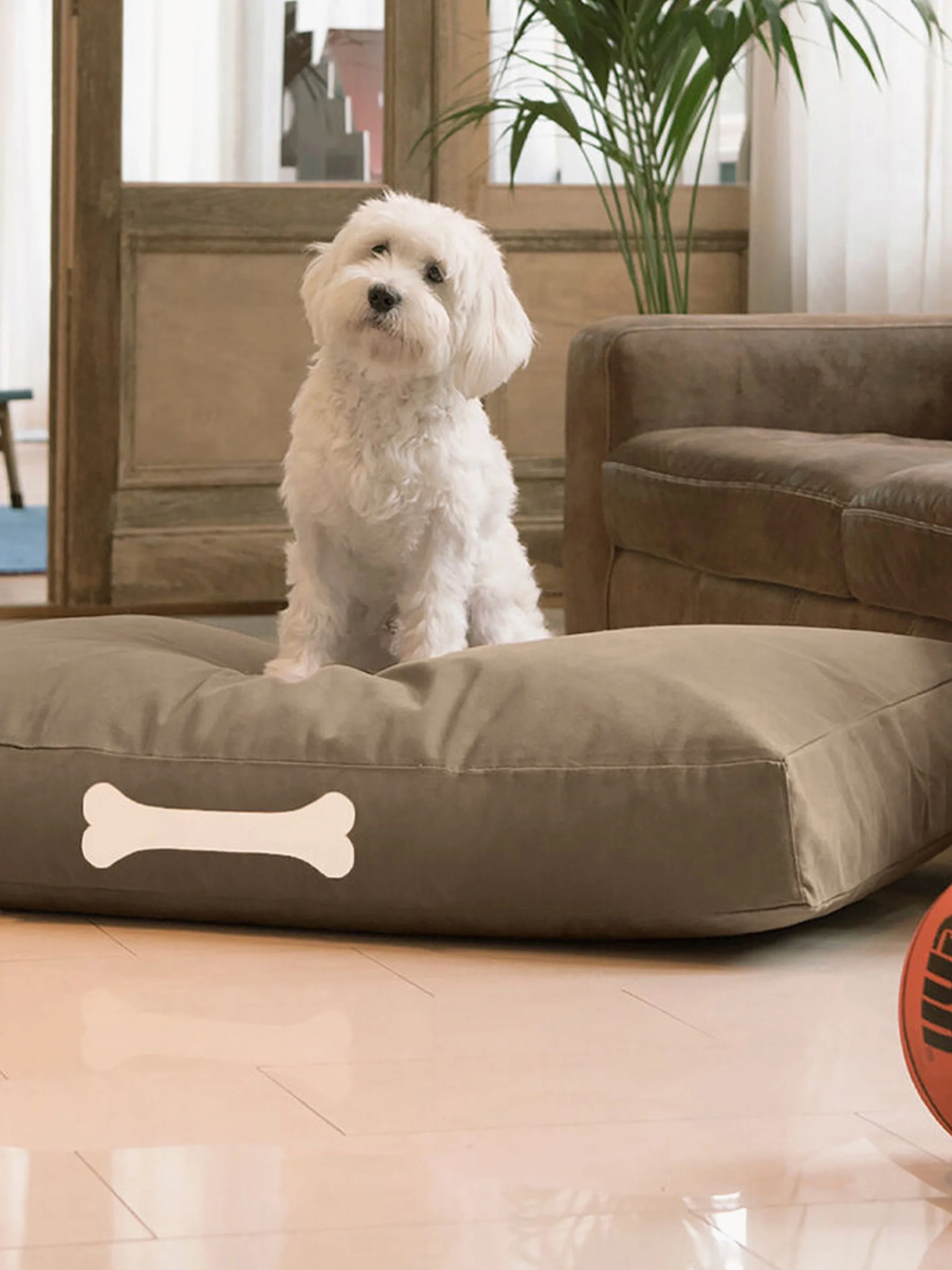 Haustier-Kissen Doggielounge