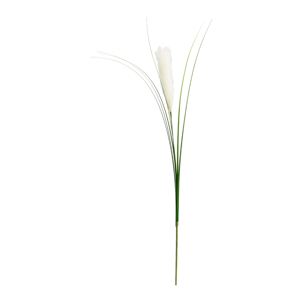 Dekozweig Dried-Grass