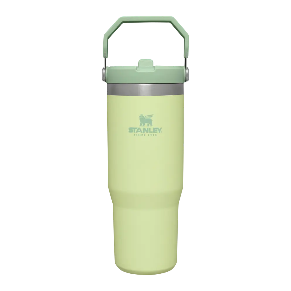 Trinkflasche Stanley