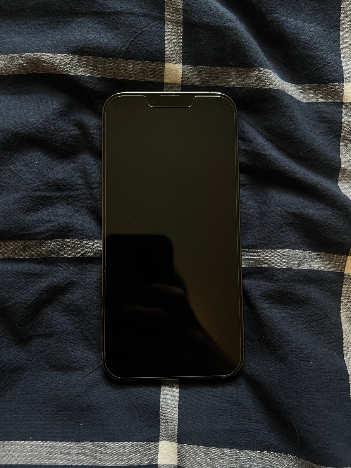 iPhone 13 Pro Max 512 GB Unlocked