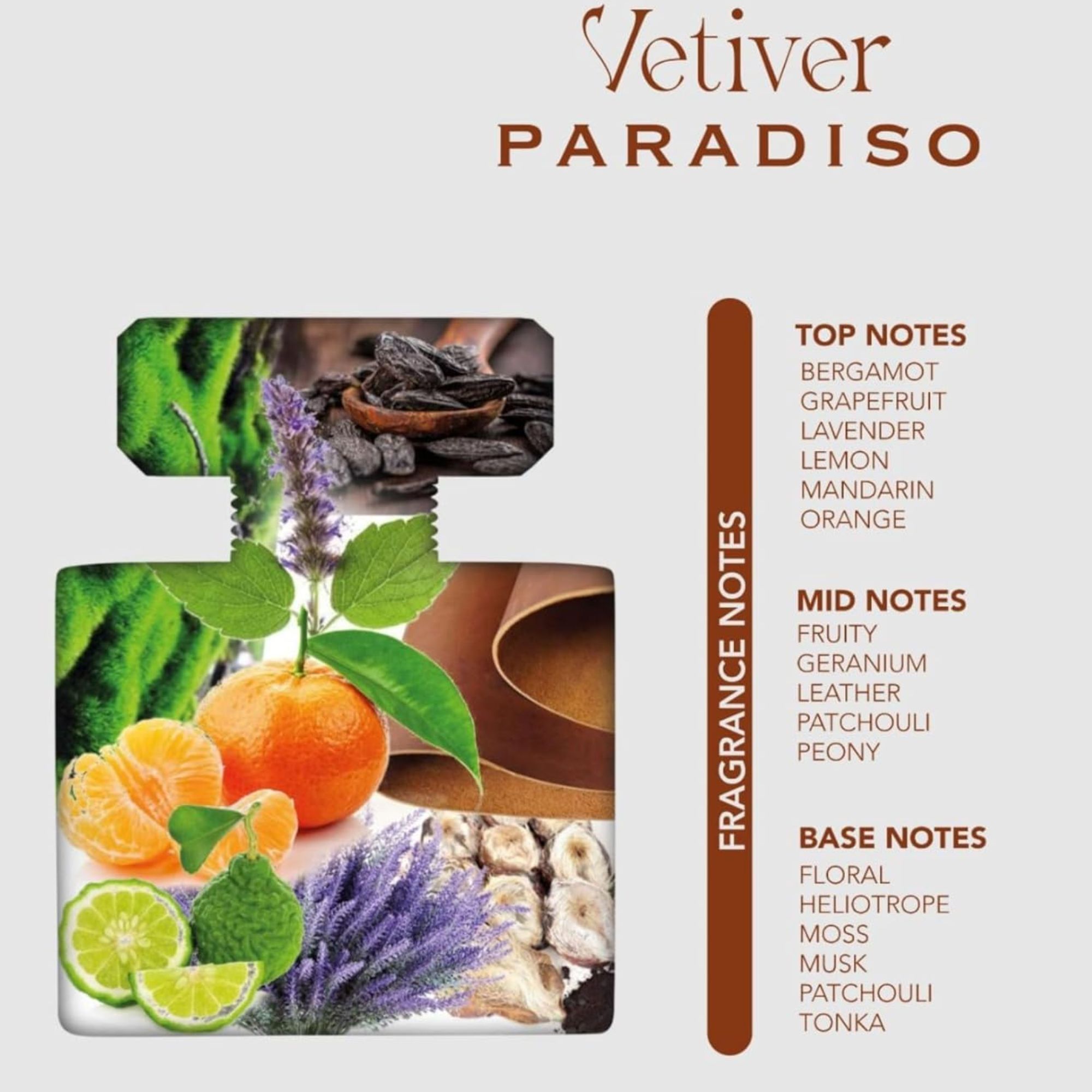 Nylaa Vetiver Paradiso 100ml Eau De Parfum fragrance for Men Eau De Parfum