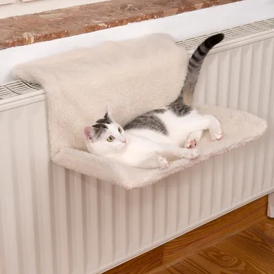 Relax Radiator Bed