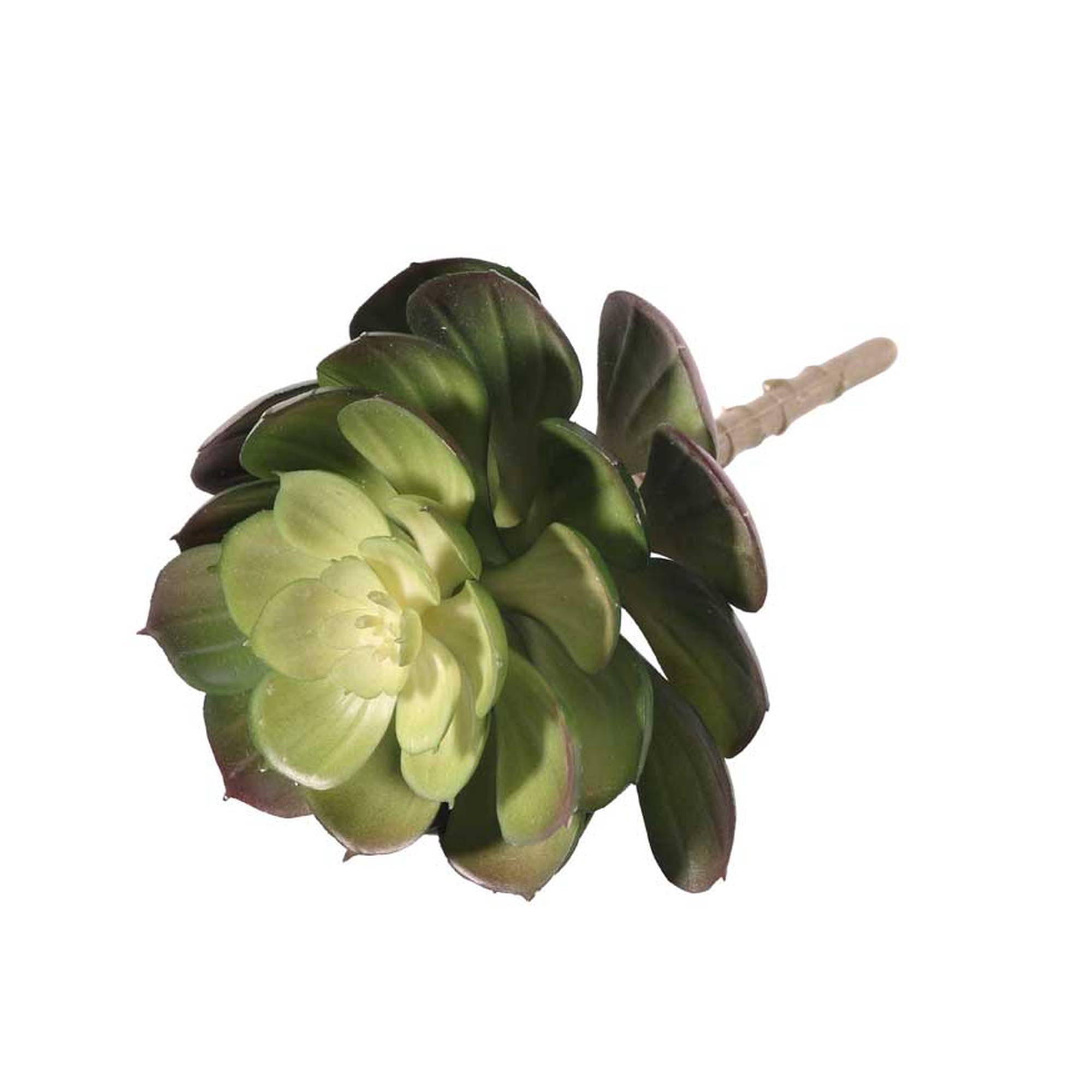 Succulent Pick 15cm