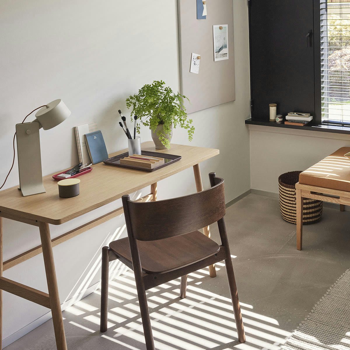 OBLIQUE - Chaises de salle à manger en hêtre, chêne foncé