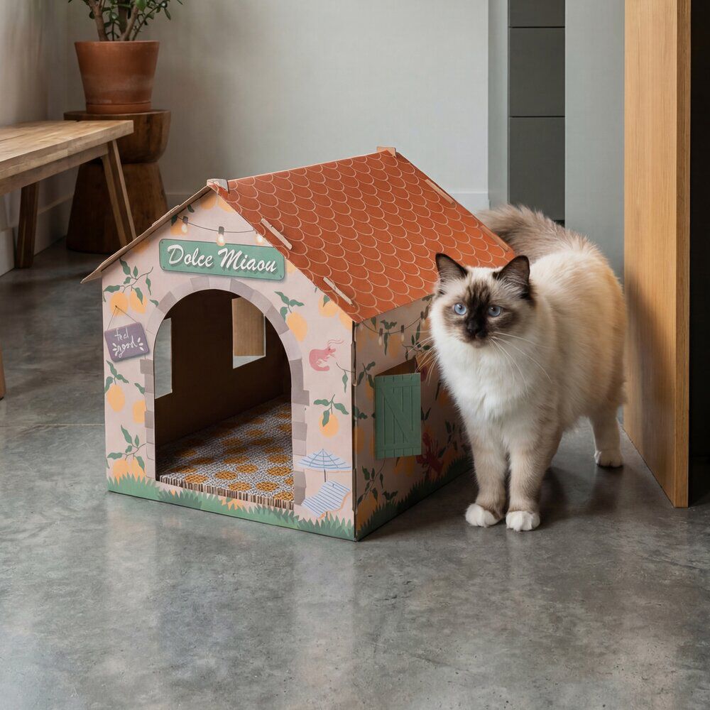 Maison pour chat carton décor Dolce Miaou 41x36xH41cm