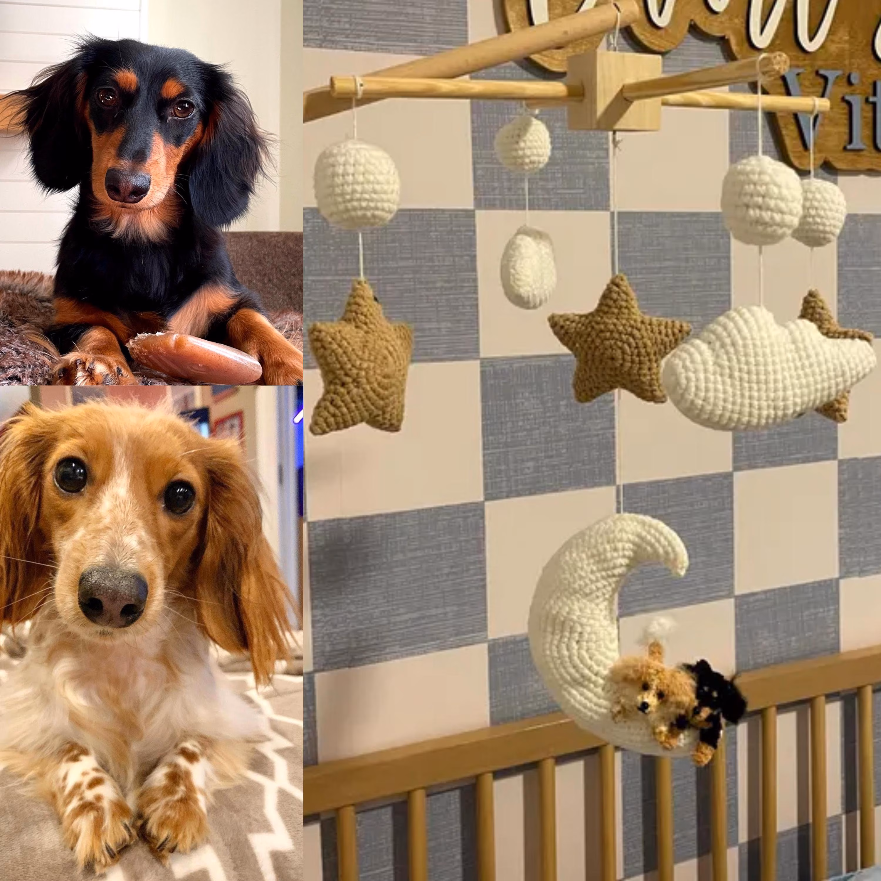 Custom Dog Baby Mobile, Crocheted Dog Cat, Baby Crib Mobile, Nursery Mobile Decor, Puppy Nursery, Baby Shower Gift, Christmas Gifts