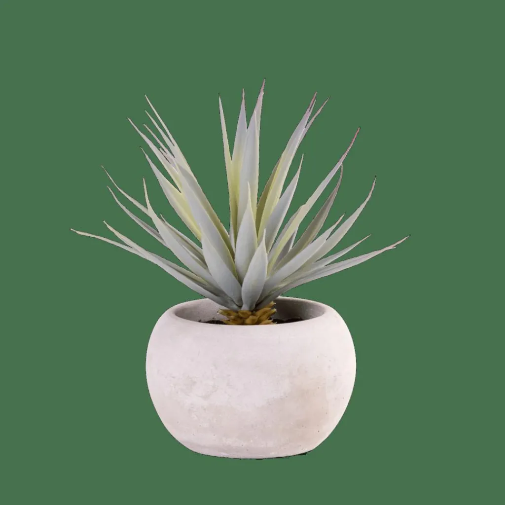 Plantes Artificielles^CASA CEMENT Plante Grasse Artificielle Gris