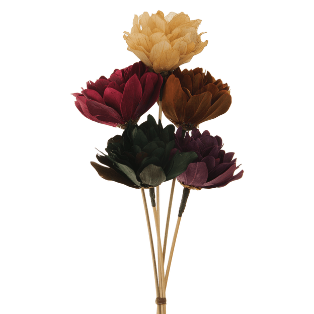 BOUQUET CABO VERDE