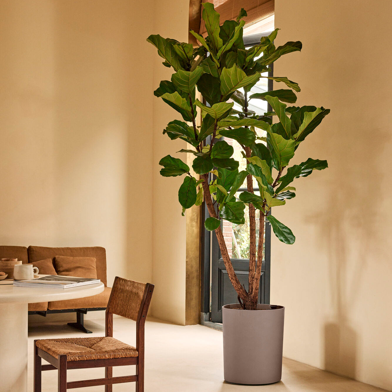 Elho Eden Aquacare High 40 - Zacht taupe - L 43 x B x H 50 cm - Binnen