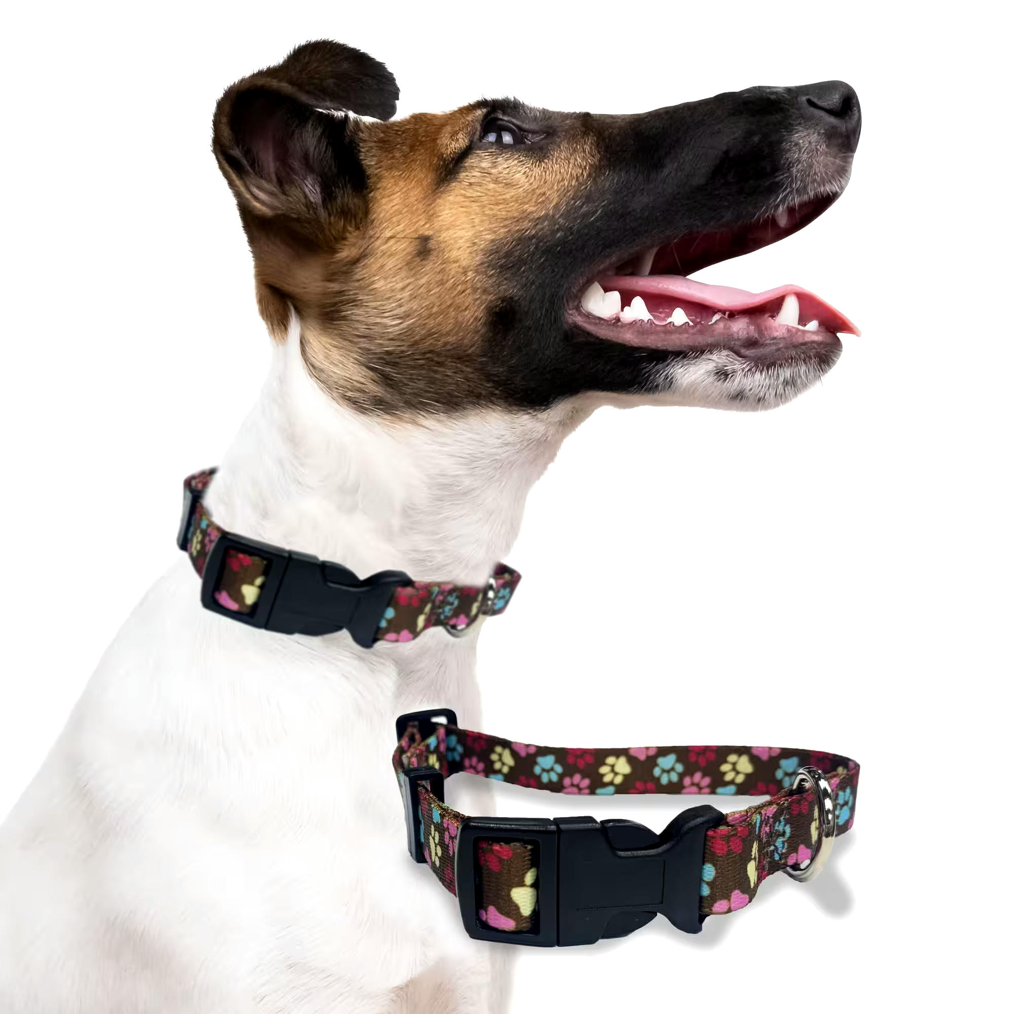 Perri's Premium Adjustable Pet Collar, Pawprint