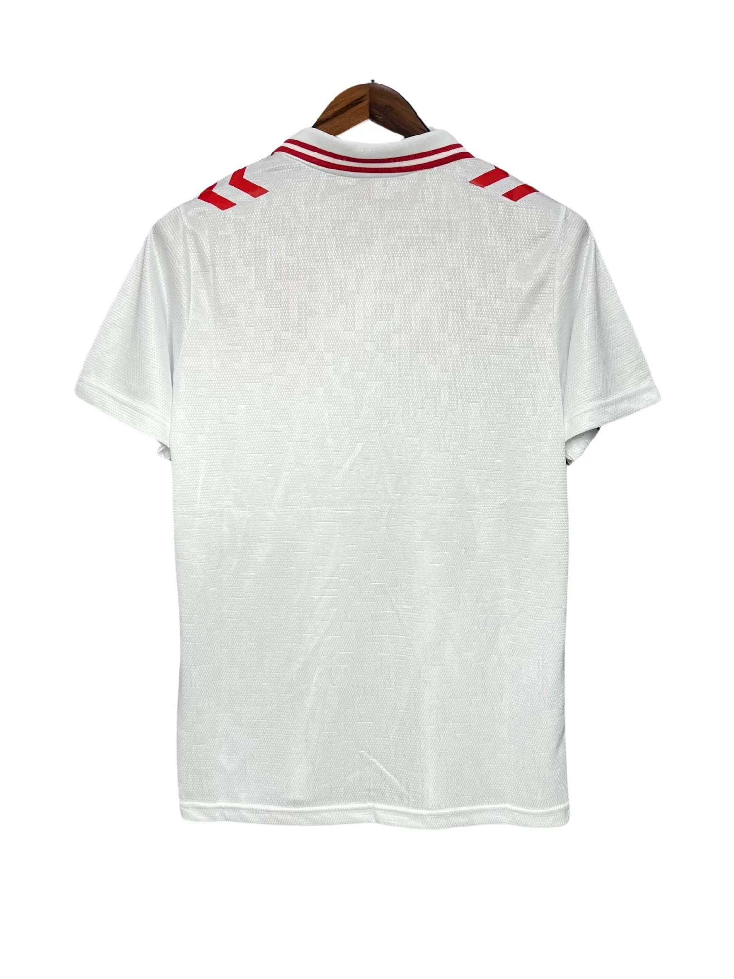 Denmark Euro II 2024 - Fan Version