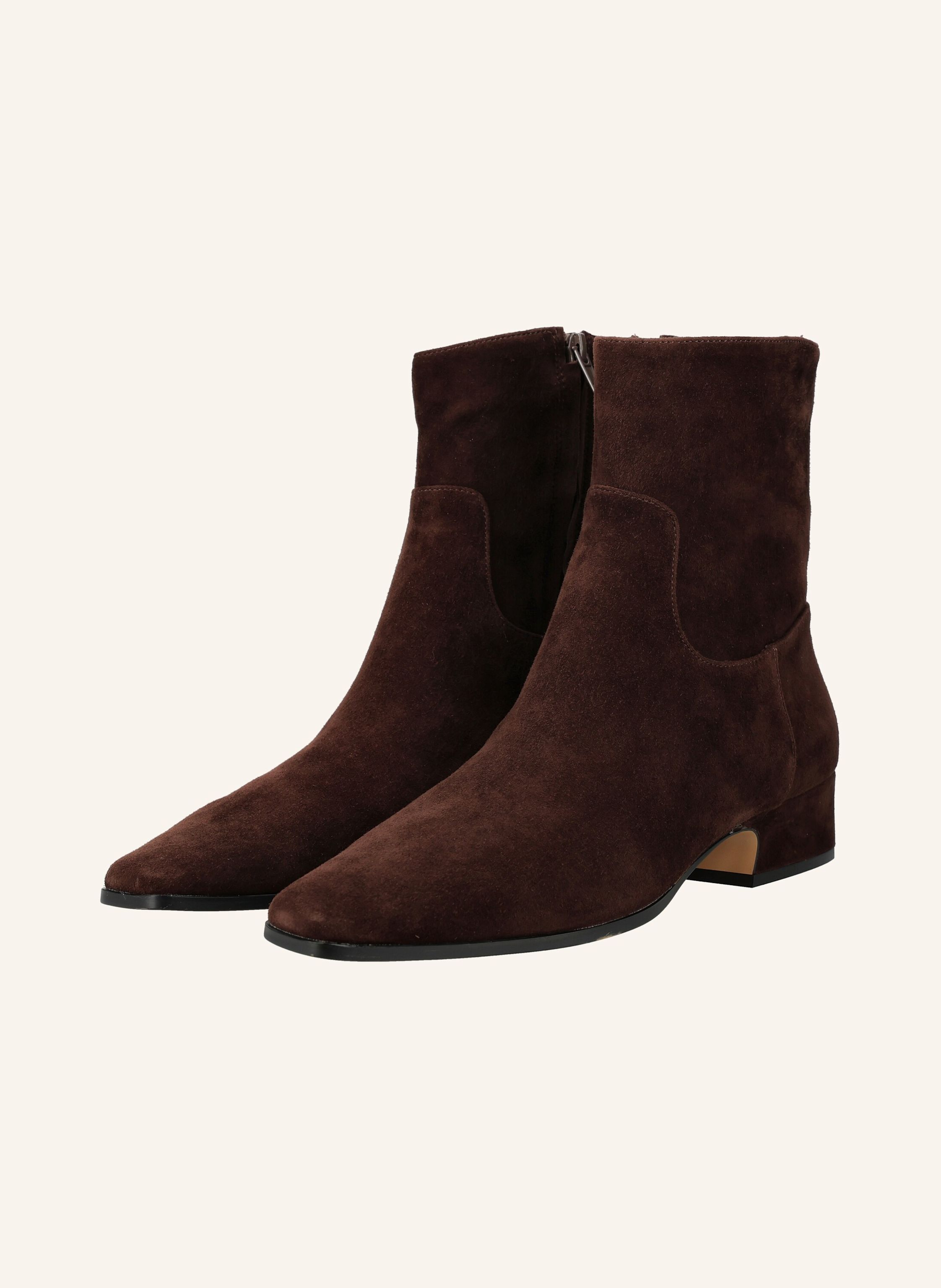 STEVE MADDEN Stiefeletten DUSTY
