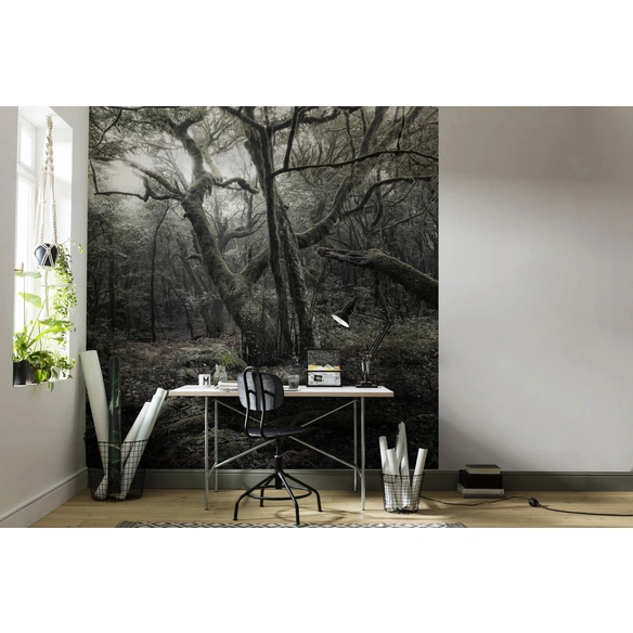 Vliestapete »Das Model«, Breite 250 cm, seidenmatt