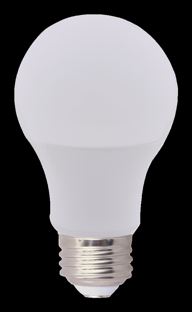 NOMA A19 E26 Base Household Dimmable LED Light Bulbs, 1600 Lumens, Daylight, 100W, 2-pk