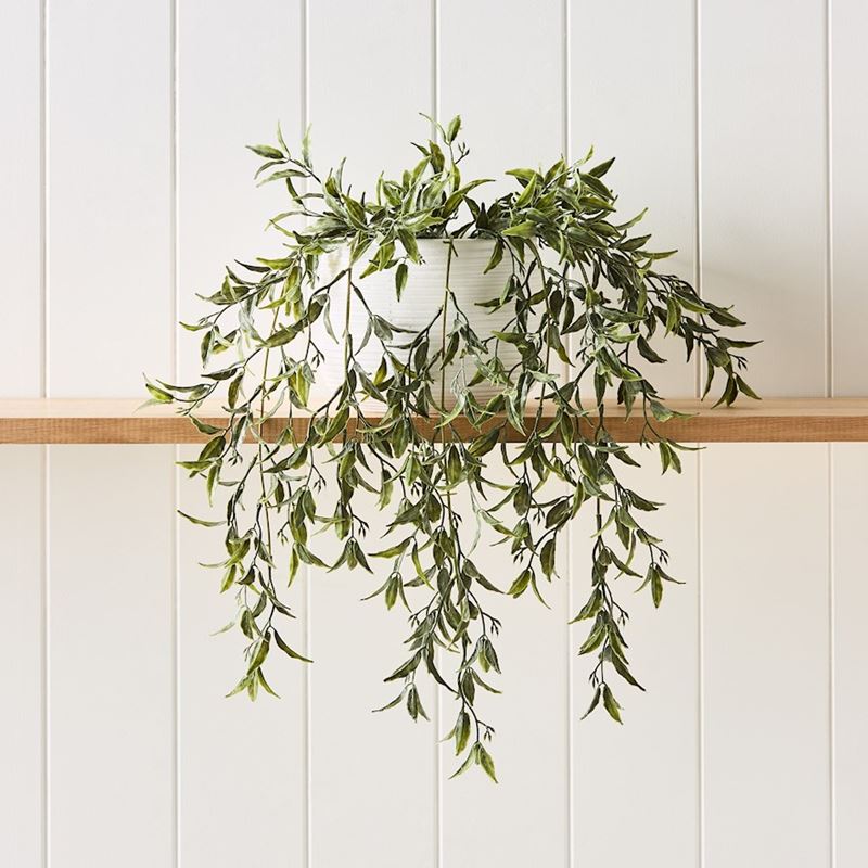 Willow Silver Green Fern