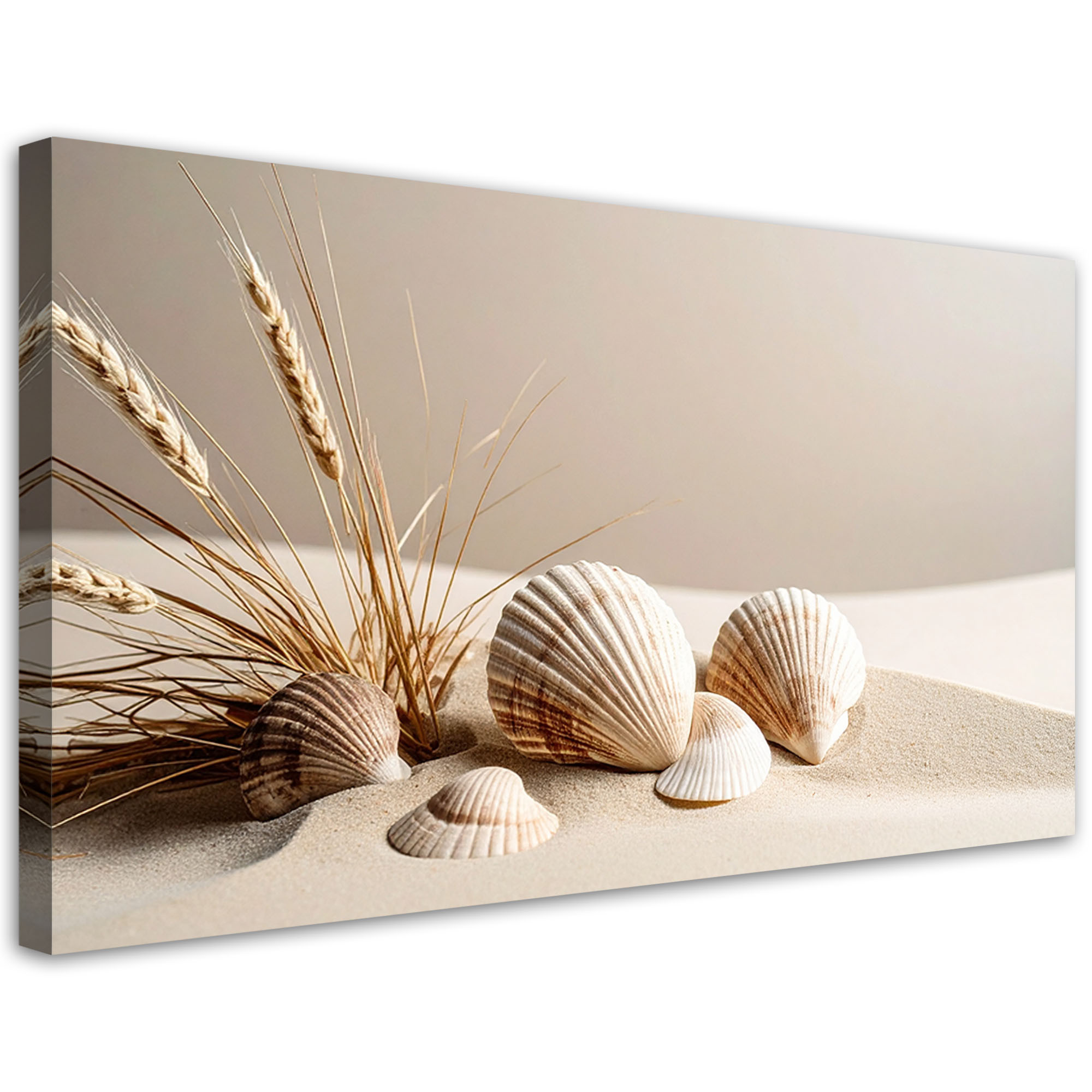 Obraz do salonu kuchni biura, Muszle piasek martwa natura boho 80x40