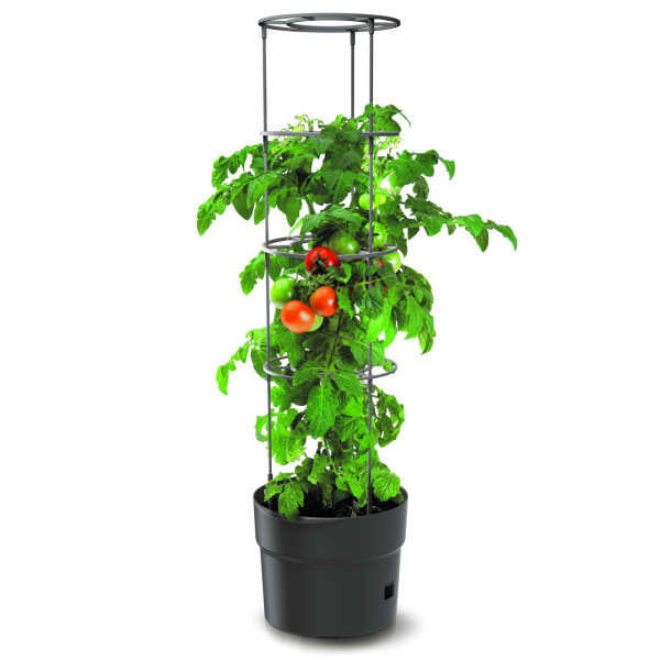 Doniczka do uprawy pomidorów Tomato Grower 28 l PROSPERPLAST