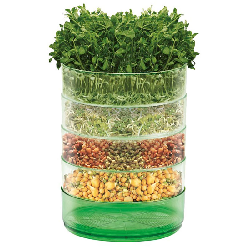 Groddbox, Kitchen Seed Sprouter