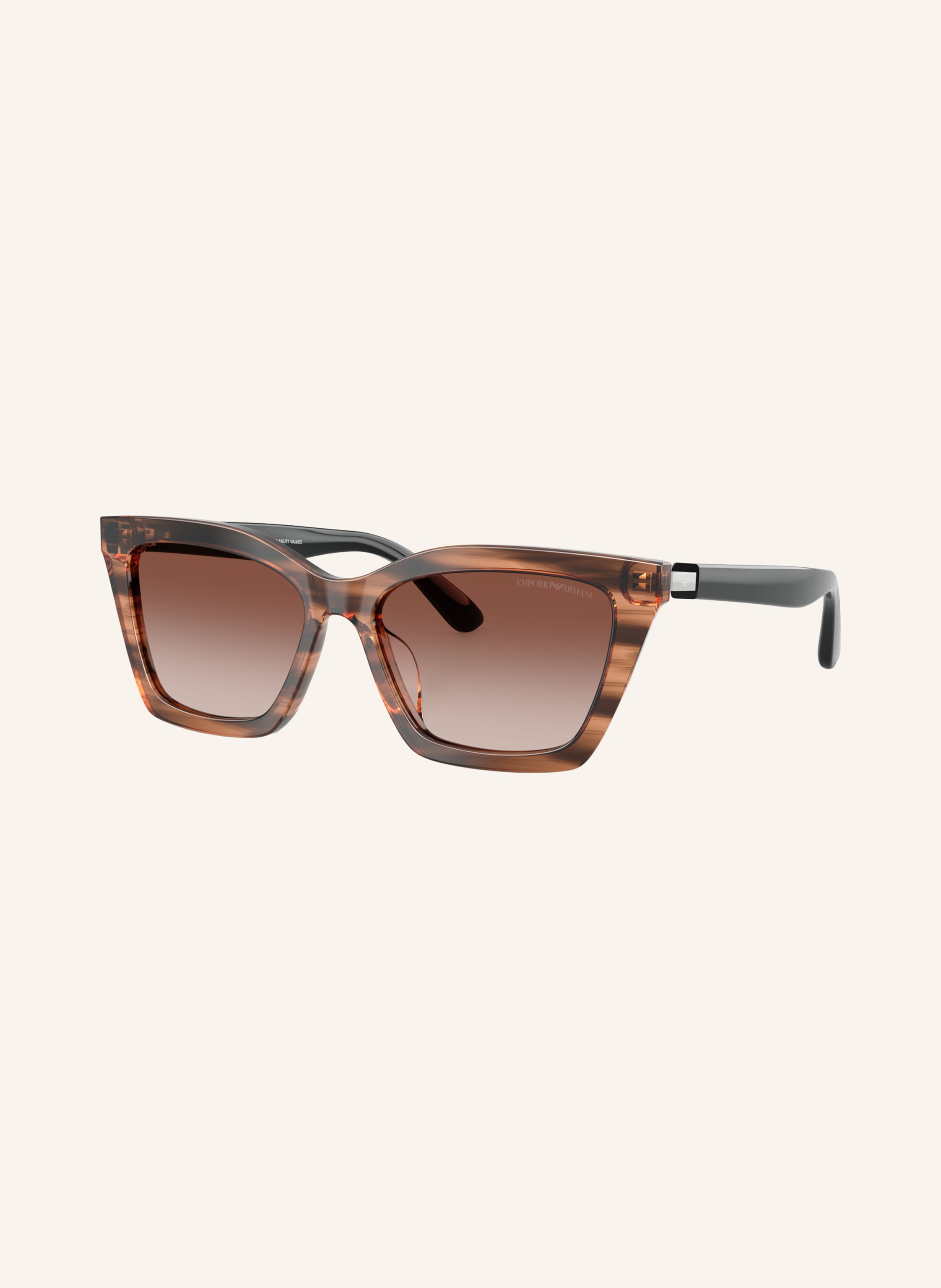 EMPORIO ARMANI Sonnenbrille EA4250U
