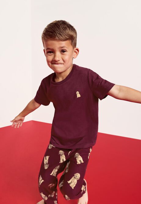 Boys Burgundy Dog Print Family Pyjama Set
