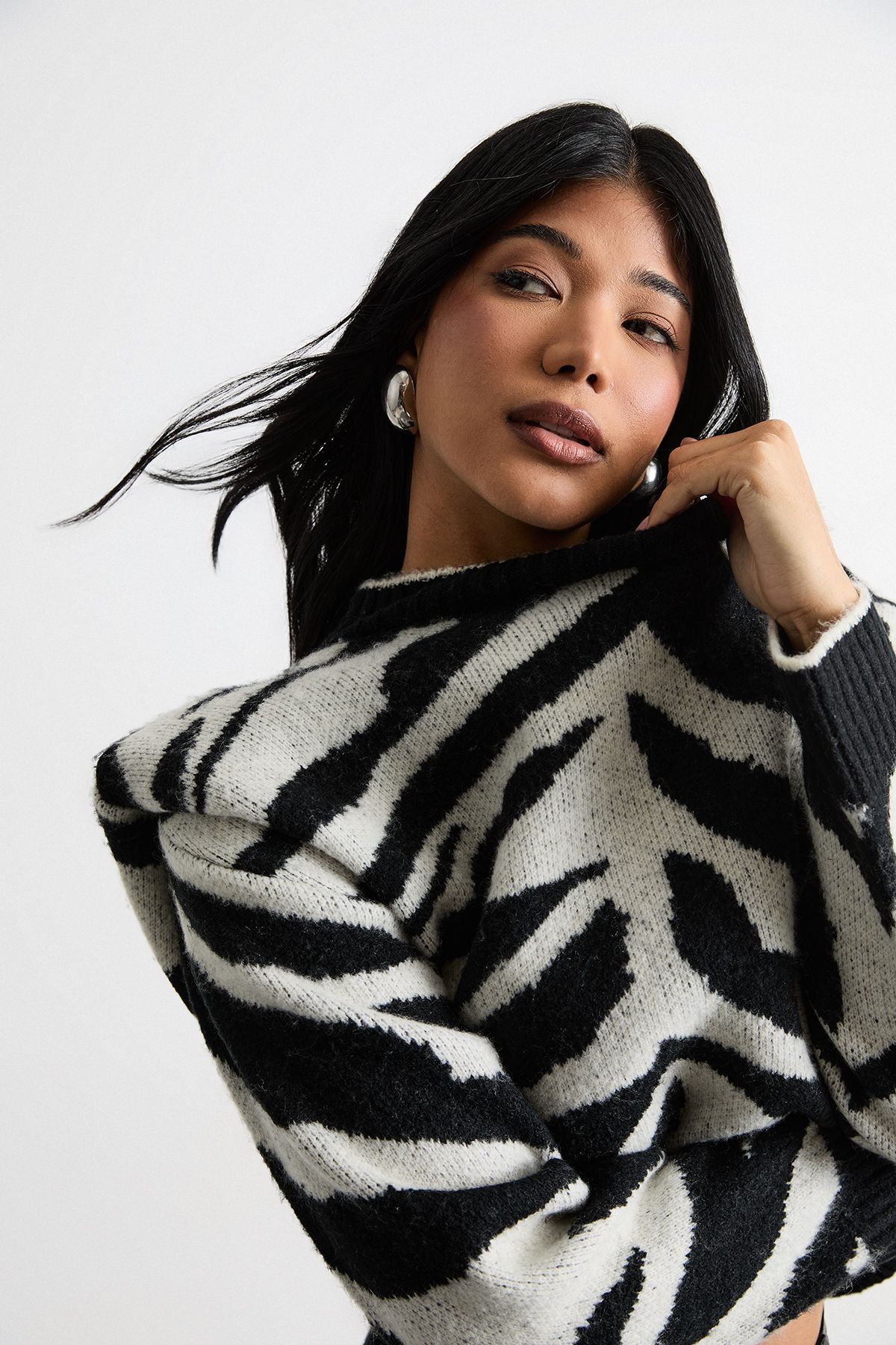 Warehouse Animal Zebra Jacquard Jumper